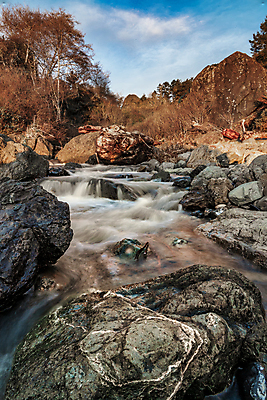 포토 JPG 해외이미지 나무 공원 얼굴 여행 백그라운드 잎 자연 이끼 사람없음 야외 가로 초록색 물 강 환경 폭포 하이킹 흰색 개울 떨어짐 숲 통나무 캘리포니아 내추럴 양치류 해외포토 자연요소 식물 공공시설 컬러 컨셉 레저 신체부위 미국 생태계 파일형식 이미지허브