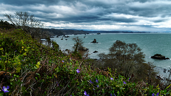 포토 JPG 해외이미지 나무 구름 여행 백그라운드 오렌지 자연 하늘 아침 날씨 풍경 해변 사람없음 빨간색 물 여름 파란색 빛 컬러풀 햇빛 태양 뷰티 반사 노란색 일출 사진촬영 미국 황혼 일몰 새벽 낭만 저녁 캘리포니아 장면 내추럴 수평선 해외포토 주간 자연요소 식물 계절 바다 컬러 컨셉 북아메리카 과일 노을 촬영 야간 생태계 파일형식 이미지허브