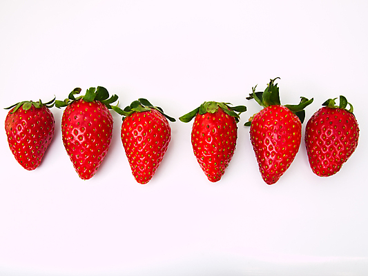 포토 JPG 해외이미지 식물 1 열매 음식 백그라운드 잎 패턴 다이어트 채소 과일 자연 딸기 디저트 건강 사람없음 빨간색 초록색 컬러풀 주스 활발 신선 닫기 달콤 맛 자르기 먹기 가득함 오브젝트 싱글 흰배경 유기농 슛 내추럴 강렬 고립 숙성 식용 채식주의자 해외포토 웰빙 음료 컬러 컨셉 무늬 모션 흰색 생태계 채식 파일형식 이미지허브