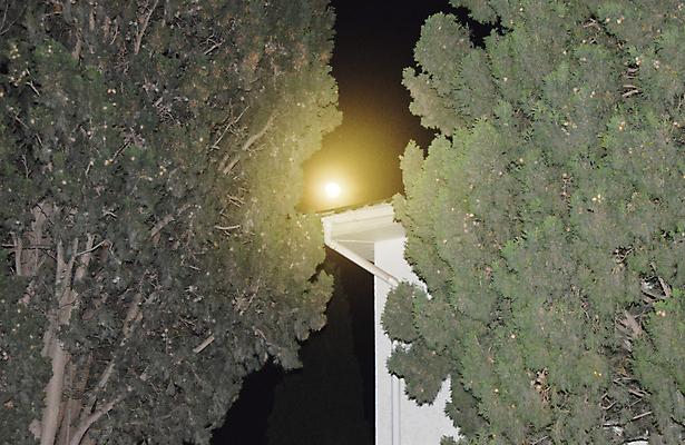 포토 JPG 해외이미지 나무 계절 실루엣 별 백그라운드 자연 하늘 사람없음 파란색 빛 우주 검은색 어둠 침묵 황혼 할로윈 달 나뭇가지 실 유령 야간 숲 신비 무서움 달빛 가득함 순수 질감 윤곽 장면 고딕 오싹 해외포토 자연요소 식물 감정 컬러 컨셉 촬영기법 소리 일몰 생태계 파일형식 이미지허브