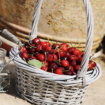 포토 JPG 해외이미지 계절 열매 음식 줄기 잎 꽃무늬 다이어트 과일 디저트 건강 사람없음 야외 빨간색 초록색 여름 컬러풀 바구니 식사 주스 봄 신선 체리 닫기 달콤 맛 먹기 묘사 오브젝트 진홍색 비타민 내추럴 강렬 숙성 채식주의자 맛있는 해외포토 식물 꽃 음료 컬러 컨셉 무늬 모션 채식 영양소 파일형식 이미지허브