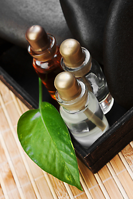 포토 JPG 해외이미지 식물 웰빙 문화 잎 휴식 건강 동양인 사람없음 치료 뷰티 약 검은색 스파 화목 침묵 목욕 화장품 조약돌 마사지 원형 소금 암초 동쪽 테라피 내추럴 위생관리 해외포토 도형 컬러 컨셉 의학 관리 인종 소리 청결 돌_바위 방향 파일형식 이미지허브