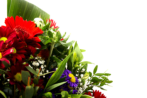 포토 JPG 해외이미지 식물 계절 꽃 행복 리본 분홍색 꽃다발 결혼 백그라운드 잎 꽃무늬 패턴 오렌지 자연 엄마 휴가 발렌타인데이 선물 사랑 사람없음 장식 빨간색 초록색 여름 컬러풀 뷰티 장미 노란색 정원 교사 봄 벚꽃 흰색 축하 신선 생일 개화 아빠 다발 데이지 내추럴 고립 해외포토 직업 기념일 감정 컬러 컨셉 무늬 과일 가족 데이이벤트 이벤트 생태계 파일형식 이미지허브