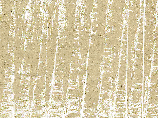 포토 JPG 해외이미지 디자인 종이 백그라운드 패턴 표면 추상 프레임 사람없음 책 물 노란색 쪽지 공백 손상 수확 골동품 덮개 점 얼룩 거친 균열 질감 복고 캔버스 먼지 페이지 찢어짐 구김 구식 그런지 보관소 세피아 양피지 옛날 원고 노화 해외포토 자연요소 컬러 컨셉 무늬 농업 모션 촬영기법 뚜껑 저장 파일형식 이미지허브