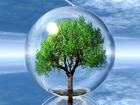 포토 JPG 해외이미지 나무 식물 디자인 계절 문화 캠페인 단풍 잎 채소 자연 하늘 날씨 안전 사람없음 야외 초록색 파란색 반사 평화 환경 거품 거울 시골 시간 투명 고독 보호 위험 시원함 보안 장면 시트 생태학 해외포토 교육 감정 컬러 컨셉 생태계 파일형식 이미지허브