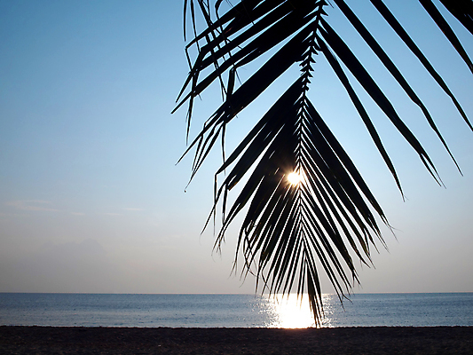 포토 JPG 해외이미지 나무 실루엣 아시아 모래 파도 바다 여행 백그라운드 태국 자연 하늘 아침 휴가 손바닥 풍경 사람없음 야외 물 여름 빛 햇빛 태양 일출 검은색 황혼 일몰 새벽 낭만 저녁 코코넛 파라다이스 수평선 해외포토 주간 자연요소 식물 손 계절 나라 컬러 컨셉 과일 촬영기법 노을 야간 생태계 파일형식 이미지허브