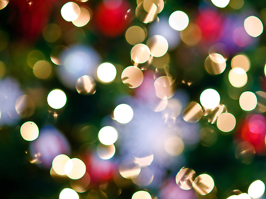 포토 JPG 해외이미지 나무 디자인 계절 실루엣 백그라운드 컨셉 크리스마스 패턴 벽지 추상 휴가 사람없음 장식 빨간색 초록색 빛 컬러풀 노란색 파티 검은색 축제 어둠 활발 기쁨 낭만 축하 점 원형 야간 소프트포커스 보케 강렬 광 노엘 블러 해외포토 자연요소 도형 식물 기념일 감정 컬러 무늬 촬영기법 이벤트 파일형식 이미지허브