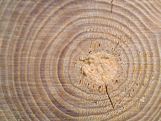 포토 JPG 해외이미지 모양 나무 산업 선 조각 백그라운드 십자가 패턴 부분 자연 표면 날씨 추상 사람없음 목재 갈색 줄무늬 반지 원형 센터 역사 널 숲 장작 자르기 유기농 질감 통나무 나무껍질 잡동사니 내추럴 방법 수목 옛날 노화 해외포토 도형 식물 웰빙 컬러 컨셉 무늬 재료 장신구 모션 껍질 생태계 파일형식 이미지허브