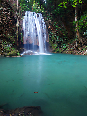 포토 JPG 해외이미지 나무 식물 공원 아시아 여행 잎 태국 자연 조류 산 바닥 어류 동양인 사람없음 물 여름 컬러풀 폭포 흐름 바위 신선 4 개울 숲 강의 즐거움 운하 에메랄드 층 내추럴 보호구역 전국 파라다이스 현재 해외포토 자연요소 동물 계절 공공시설 감정 나라 컬러 컨셉 인종 강 숫자 수중동물 돌_바위 보석 생태계 구역 파일형식 이미지허브