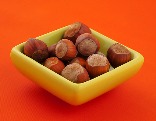 포토 JPG 해외이미지 실내 사람없음 견과류 담기 빨간배경 헤이즐넛 해외포토 백그라운드 모션 내부 빨간색 파일형식 이미지허브