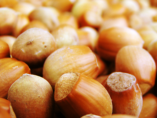 포토 JPG 해외이미지 실내 근접촬영 사람없음 아웃포커스 견과류 가득함 헤이즐넛 해외포토 뷰포인트 촬영기법 내부 파일형식 이미지허브