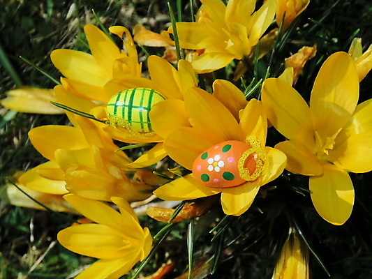 포토 JPG 해외이미지 사람없음 해외포토 파일형식 이미지허브