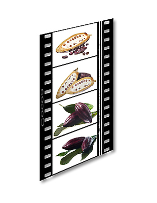 포토 JPG 해외이미지 나무 식물 잎 다이어트 재료 디저트 콩 사람없음 갈색 초콜릿 어둠 우유 흰색 달콤 가루 귀 칼로리 코코아 고립 이국적 카페인 맛있는 해외포토 음료 음식 컬러 유제품 곡류 건강 신체부위 맛 파일형식 이미지허브