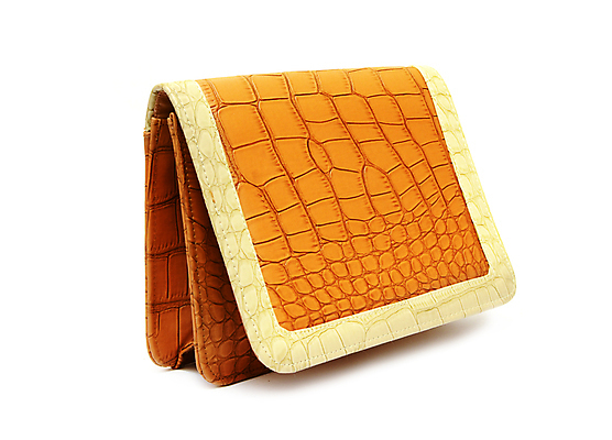 포토 JPG 해외이미지 옷 여자 백그라운드 가방 사람없음 쇼핑 뷰티 갈색 노란색 유행 세일 화장품 핸드백 흰색 화려 지갑 재산 고급 우아함 닫기 가죽 오브젝트 싱글 소매 고립 스타일 해외포토 잡화 컬러 컨셉 모션 사람 금융 파일형식 이미지허브