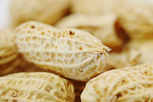 포토 JPG 해외이미지 건조 사람없음 갈색 껍질 땅콩 해외포토 컬러 견과류 파일형식 이미지허브