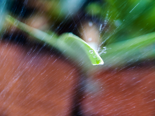 포토 JPG 해외이미지 식물 음식 잎 밭 농업 자연 건조 잔디 사람없음 초록색 물 우주 정원 장비 흐름 안개 흰색 물방울 시골 뜨거움 떨어짐 수분 플라스틱 뿌리기 유기농 분무기 가뭄 샤워실 스프링쿨러 해외포토 자연요소 웰빙 산업 컬러 컨셉 모션 재질 날씨 생태계 샤워시설 파일형식 이미지허브