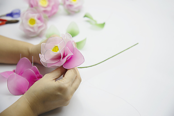 포토 JPG 해외이미지 식물 모델 직업 디자인 꽃 종이 분홍색 백그라운드 잎 양말 주택 취미 사람없음 장식 초록색 컬러풀 뷰티 유행 재활용 장비 흰색 도구 투명 달콤 유연 천 오브젝트 테이프 꽃가루 철사 보여주기 DIY 발명 인공 핸드메이드 카피스페이스 해외포토 컬러 모션 문구용품 건물 공백 직물 맛 가루 친환경 파일형식 이미지허브