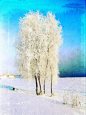 포토 JPG 해외이미지 나무 종이 백그라운드 겨울 패턴 자연 표면 추상 프레임 사람없음 목재 책 물 노란색 쪽지 공백 수확 골동품 점 얼룩 거친 균열 실 숲 질감 복고 캔버스 페이지 찢어짐 구식 그런지 보관소 보유 세피아 양피지 옛날 원고 노화 가문비나무 해외포토 자연요소 식물 계절 컬러 컨셉 무늬 농업 재료 모션 촬영기법 저장 생태계 파일형식 이미지허브