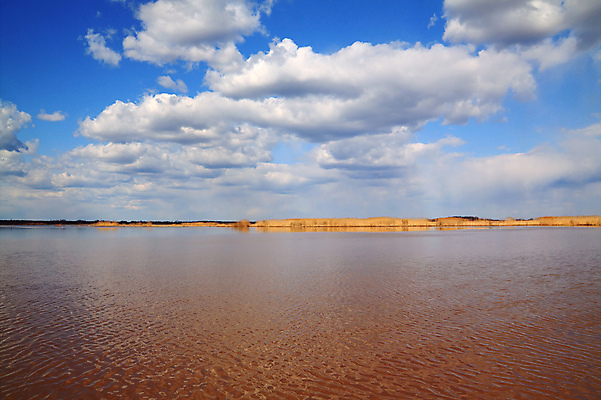 포토 JPG 해외이미지 나무 식물 공원 꽃 파도 줄기 자연 하늘 새로움 건조 갈대 풍경 사람없음 야외 물 여름 파란색 강 햇빛 뷰티 반사 갈색 노란색 평화 환경 맑음 침묵 추위 가을 연못 습지 장면 북쪽 멀티 변소 끈적임 해외포토 자연요소 계절 공공시설 바다 컬러 컨셉 날씨 태양 소리 방향 생태계 파일형식 이미지허브