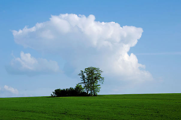 포토 JPG 해외이미지 나무 계절 밭 하늘 사람없음 초록색 파란색 시골 해외포토 식물 컬러 농업 파일형식 이미지허브