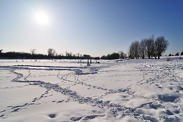포토 JPG 해외이미지 나무 계절 호수 겨울 자연 하늘 사람없음 야외 물 강 햇빛 걷기 맑음 냉동 얼음 추위 흰색 시골 서리 자취 해외포토 자연요소 식물 컬러 모션 날씨 태양 생태계 파일형식 이미지허브