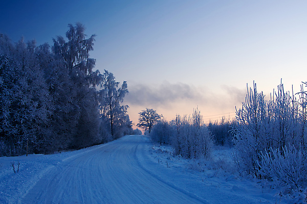 포토 JPG 해외이미지 나무 계절 백그라운드 겨울 자연 하늘 풍경 사람없음 야외 목재 파란색 뷰티 냉동 얼음 추위 흰색 시골 눈송이 숲 12월 서리 장면 1월 눈내림 해외포토 자연요소 식물 컬러 재료 눈_날씨 날짜 생태계 파일형식 이미지허브