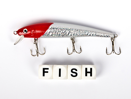 포토 JPG 해외이미지 선 스포츠 백그라운드 낚시 어류 취미 사람없음 금속 숟가락 거울 장비 흰색 잡기 고리 유혹 날카로움 미끼 고립 돌리기 팬던트 해외포토 컬러 컨셉 모션 재질 레저 수저 수중동물 파일형식 이미지허브