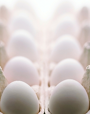 포토 JPG 해외이미지 1 전통 디자인 종교 음식 백그라운드 자연 조류 휴가 부활절 선물 안전 사람없음 장식 컬러풀 계란 치킨 봄 흰색 그리기 닫기 큼 심볼 오브젝트 싱글 심플 고립 취급주의 해외포토 동물 계절 기념일 컬러 모션 경고 알 크기 생태계 닭고기요리 파일형식 이미지허브