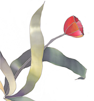 포토 JPG 해외이미지 식물 계절 꽃 야생동물 백그라운드 꽃무늬 자연 사람없음 빨간색 컬러풀 뷰티 정원 튤립 흰색 그리기 생물학 고립 해외포토 동물 교육 컬러 무늬 모션 생태계 파일형식 이미지허브