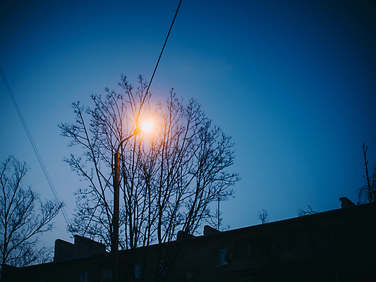 포토 JPG 해외이미지 나무 디자인 계절 공원 백그라운드 잎 가로등 건축양식 자연 하늘 조명 거리 사람없음 야외 장식 초록색 파란색 빛 금속 검은색 어둠 힘 침묵 일몰 에너지 수확 흰색 등불 램프 도시 야간 저녁 철 러시아 장면 빛망울 광 모스크바 옛날 해외포토 자연요소 식물 공공시설 건축 유럽 컬러 농업 재질 노을 소리 생태계 파일형식 이미지허브