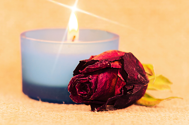 포토 JPG 해외이미지 꽃 발렌타인데이 사람없음 빨간색 빛 장미 낭만 시들음 해외포토 식물 컬러 컨셉 데이이벤트 파일형식 이미지허브