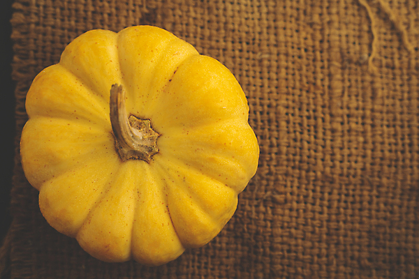 포토 JPG 해외이미지 배너 행복 포스터 음식 백그라운드 잎 오렌지 비즈니스 텍스트 조류 호박 표면 건조 사람없음 그래픽 장식 가로 쇼핑 컬러풀 갈색 라벨 판매 세일 할로윈 코트 수확 축하 신용카드 숲 9월 11월 심볼 감사 자루 추수감사절 승진 10월 그런지 제의 국경 해외포토 식물 동물 감정 기독교 컬러 컨셉 농업 채소 과일 프레임 금융 외투 날짜 파일형식 이미지허브