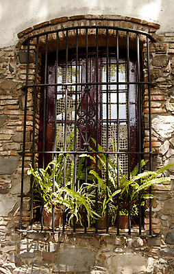 포토 JPG 해외이미지 식물 벽 건축양식 창문 추상 주택 사람없음 장식 묘사 질감 옛날 해외포토 건축 무늬 건물 파일형식 이미지허브