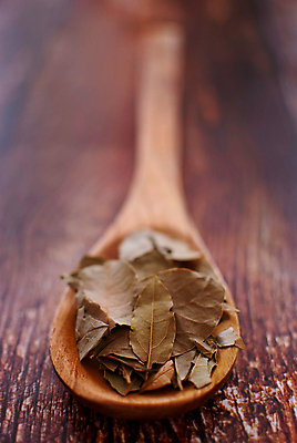포토 JPG 해외이미지 음식 백그라운드 잎 재료 건조 건강 요리 사람없음 목재 주방 숟가락 만 양념 가루 허브 향신료 유기농 매움 아로마 땅바닥 해외포토 나무 식물 웰빙 바닥 수저 맛 향미료 파일형식 이미지허브