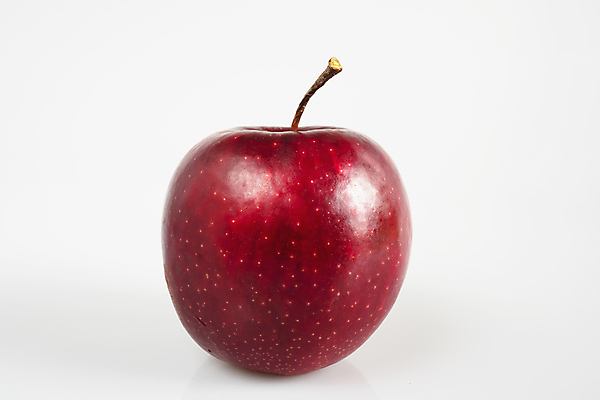 포토 JPG 해외이미지 계절 음료 음식 백그라운드 잎 농업 다이어트 과일 재료 자연 탁자 디저트 건강 사람없음 빨간색 물 컬러풀 태양 쌓기 바구니 주스 회색 수확 흰색 신선 그룹 달콤 맛 떨어짐 사과 상품 먹기 상쾌 유기농 흙더미 내추럴 숙성 채식주의자 맛있는 해외포토 자연요소 식물 웰빙 감정 산업 컬러 가구 컨셉 모션 흙 생태계 채식 파일형식 더미 이미지허브