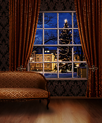 포토 JPG 해외이미지 나무 계절 벽 백그라운드 크리스마스 겨울 패턴 창문 벽지 전등 주택 프레임 실내 사람없음 야외 장식 파란색 빛 갈색 축제 방 수확 골동품 축하 클래식 우아함 야간 저녁 향수 타운 전나무 옛날 가문비나무 스타일 해외포토 자연요소 식물 기념일 컬러 컨셉 무늬 농업 조명 내부 건물 화장품 도시 파일형식 이미지허브