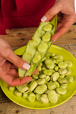 포토 JPG 해외이미지 식물 접시 여자 재료 콩 건강 관리 요리 사람없음 세로 초록색 신선 오픈 준비 날것 꼬투리 채식주의자 많음 해외포토 식기 컬러 컨셉 곡류 사람 채식 파일형식 이미지허브