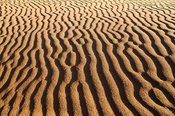 포토 JPG 해외이미지 물결 모래 파도 백그라운드 패턴 곡선 자연 바람 추상 건조 풍경 사람없음 모래사장 뷰티 갈색 노란색 우주 침묵 줄무늬 사막 뜨거움 땅 모래언덕 부식 질감 장면 결 지역 멀리 내추럴 잔물결 해외포토 자연요소 선 바다 컬러 무늬 날씨 소리 언덕 생태계 파일형식 이미지허브