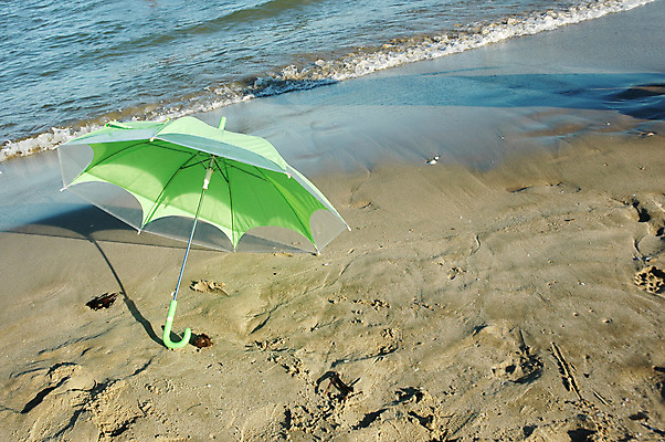 포토 JPG 해외이미지 나무 식물 구름 모래 파도 바다 섬 여행 백그라운드 잎 자연 하늘 휴가 휴식 손바닥 풍경 사람없음 야외 물 여름 파란색 햇빛 태양 뷰티 맑음 침묵 낭만 흰색 전원 만 뜨거움 휴양지 코코넛 석호 내추럴 파라다이스 해외포토 자연요소 손 계절 컬러 컨셉 과일 날씨 소리 장소 전기에너지 생태계 파일형식 이미지허브