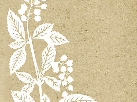 포토 JPG 해외이미지 식물 꽃 종이 백그라운드 꽃무늬 표면 날씨 추상 프레임 사람없음 책 갈색 노란색 우주 쪽지 공백 수확 덮개 점 거친 주름 균열 황폐 질감 복고 심플 캔버스 페이지 스크래치 찢어짐 시트 판지 나쁜 구김 구식 그런지 세피아 양피지 옛날 원고 파피루스 노화 스타일 해외포토 컬러 컨셉 무늬 농업 모션 촬영기법 뚜껑 파일형식 이미지허브