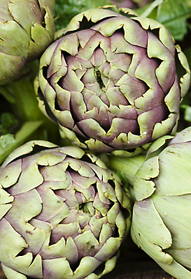 포토 JPG 해외이미지 식물 음식 채소 요리 사람없음 초록색 지구본 로마 먹기 엉겅퀴 로마인 식용 아티초크 영원 해외포토 꽃 컬러 모션 인종 이탈리아 파일형식 이미지허브