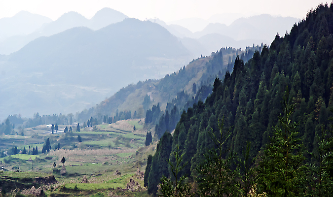 포토 JPG 해외이미지 나무 산 사람없음 초록색 태양 일출 중국 안개 개울 숲 대나무 에코 해외포토 자연요소 식물 아시아 컬러 날씨 강 노을 환경 파일형식 이미지허브