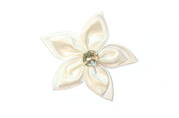 포토 JPG 해외이미지 식물 1 계절 꽃잎 꽃 꽃무늬 패턴 자연 선물 사랑 사람없음 야외 여름 빛 머리 우주 정원 봄 낭만 성장 흰색 신선 오브젝트 질감 내추럴 고립 해외포토 감정 컬러 컨셉 무늬 신체부위 생태계 파일형식 이미지허브