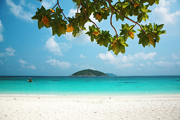 포토 JPG 해외이미지 나무 커플 계절 아시아 모래 파도 바다 섬 여행 태국 하늘 휴가 산 사람없음 야외 초록색 물 파란색 태양 뷰티 활발 흰색 보트 스노클링 산호 크리스탈 다이빙 안다만 터키석 파라다이스 해외포토 자연요소 식물 나라 컬러 컨셉 배_교통 관계 수영 수상스포츠 자포동물 광석 보석 수중스포츠 파일형식 이미지허브