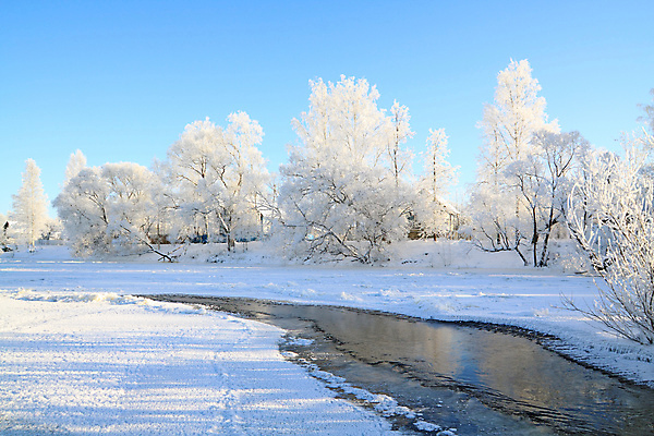 포토 JPG 해외이미지 나무 꽃 여행 잎 겨울 농업 자연 조류 하늘 날씨 주택 사람없음 야외 물 강 노란색 일출 냉동 얼음 침묵 봄 추위 나뭇가지 시골 개울 황무지 숲 땅 허브 시작 서리 각도 지역 솜털 미루나무 제설기 해외포토 자연요소 식물 동물 계절 산업 컬러 건물 노을 소리 생태계 제설 파일형식 이미지허브