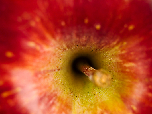 포토 JPG 해외이미지 과일 실내 근접촬영 사람없음 사과 소프트포커스 해외포토 뷰포인트 촬영기법 내부 파일형식 이미지허브