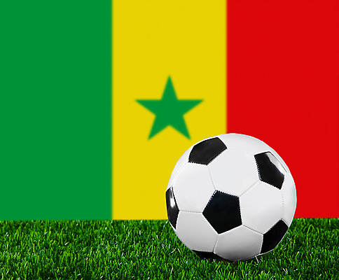 포토 JPG 해외이미지 디자인 스포츠 파도 백그라운드 밭 공 자연 놀이 성공 사람없음 야외 초록색 여름 검은색 축구 경쟁 경기장 장비 자유 게임 흰색 깃발 우승 원형 놀이터 가죽 심볼 오브젝트 사인 애국심 골 땅바닥 여의주 전국 해외포토 도형 계절 바다 컬러 컨셉 농업 스포츠시설 바닥 구기 최고 생태계 파일형식 이미지허브