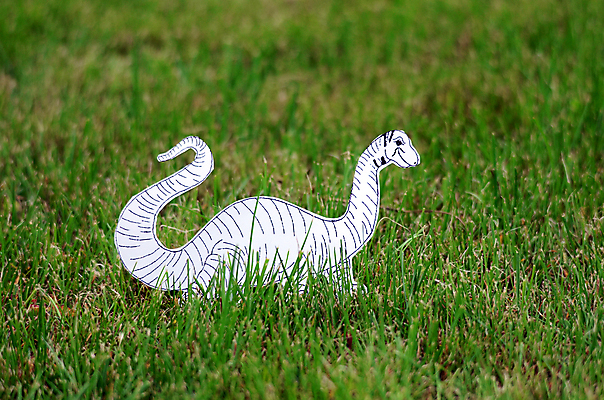 포토 JPG 해외이미지 모양 동물 행복 선 백그라운드 일러스트 자연 프레임 사람없음 야외 책 초록색 컬러풀 거품 흰색 그리기 만화 스케치 그림 심플 윤곽 페이지 색칠공부 쥬라기 해외포토 감정 컬러 모션 미술 학습 색칠 생태계 파일형식 이미지허브