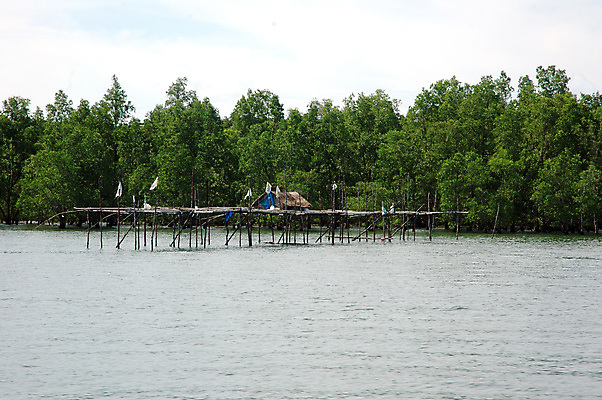 포토 JPG 해외이미지 구름 산업 아시아 밧줄 바다 섬 여행 자연 하늘 낚시 새로움 항해 갑각류 어류 풍경 사람없음 야외 목재 빨간색 물 여름 마을 일출 항구 일몰 게 시골 잡기 그물 보트 인도네시아 낚시꾼 철사 새장 포트 어장 올가미 옛날 판잣집 해외포토 자연요소 나무 동물 계절 나라 줄 컬러 컨셉 배_교통 재료 교통시설 모션 레저 주택 노을 수중동물 생태계 케이지 파일형식 이미지허브