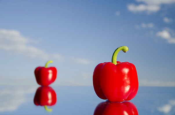 포토 JPG 해외이미지 구름 음식 줄기 백그라운드 컨셉 다이어트 채소 재료 하늘 오이 파프리카 건강 요리 서기 사람없음 아웃포커스 장식 빨간색 초록색 파란색 반사 주방 저녁식사 샐러드 신선 양념 닫기 묘사 후추 내추럴 고립 숙성 채식주의자 흥미 해외포토 자연요소 식물 컬러 모션 촬영기법 식사 향신료 채식 파일형식 이미지허브
